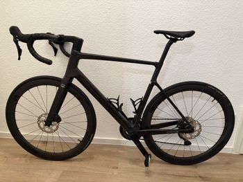 Focus, IZALCO MAX 8.8 2024
