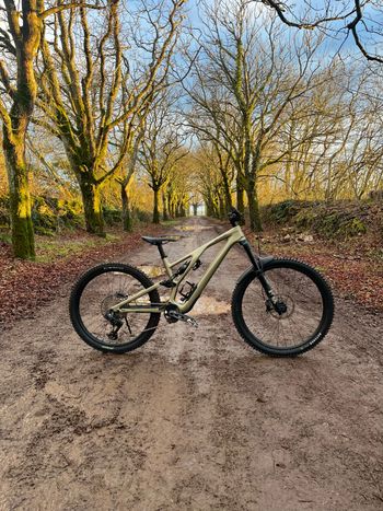 Specialized, Stumpjumper EVO Expert - SRAM GX AXS, FOX Performance Elite 2024