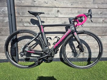 Pinarello, Gan Other Campagnolo