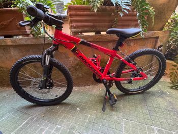 ROCKRIDER, ROCKRIDER Custom Shimano Tourney