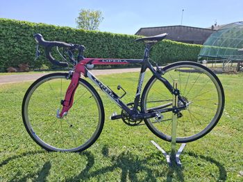 Used Opera Opera Custom Shimano Ultegra 2014 Road & Gravel — image 2 of 7