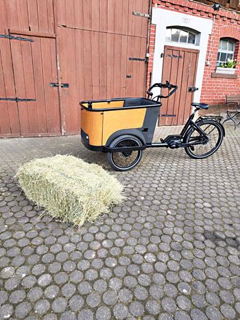 Cangoo, Cangoo Buckle Up E-Lastenbike