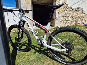 Canyon, Lux CF 8 2021