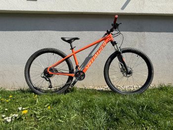 Specialized, Rockhopper Sport 2022