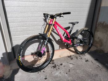 Canyon, Sender CFR Mullet 2024