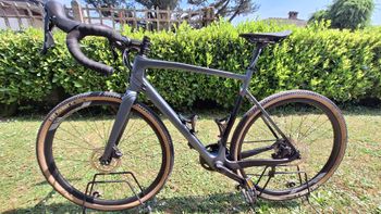 Megamo, WEST 15 2023