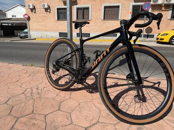 Giant, Revolt Advanced 2 2026