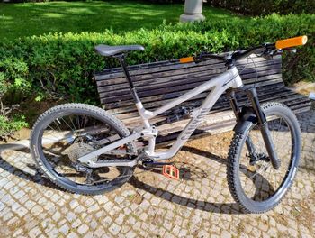 Canyon, Torque 29 AL 5 2023