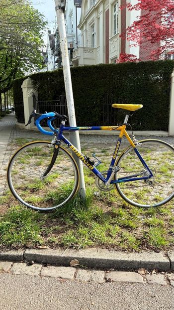 Used Bianchi Bianchi Custom Campagnolo Veloce 2000 Road & Gravel — image 3 of 16