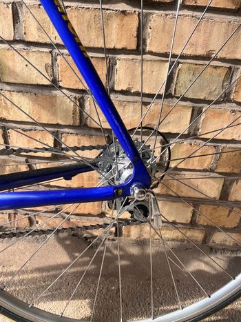 Used Bianchi Bianchi Custom Campagnolo Veloce 2000 Road & Gravel — image 10 of 16