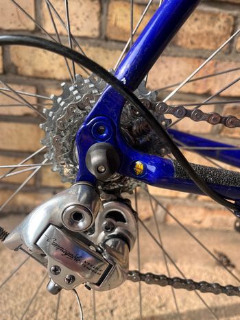 Used Bianchi Bianchi Custom Campagnolo Veloce 2000 Road & Gravel — image 6 of 16