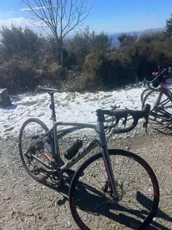 Used Felt T4 2024 Road & Gravel — image 4 of 4