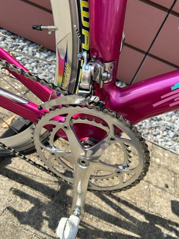 Used Vitus Zx-1 Campagnolo Record 1990 Road & Gravel, Purple — image 4 of 19