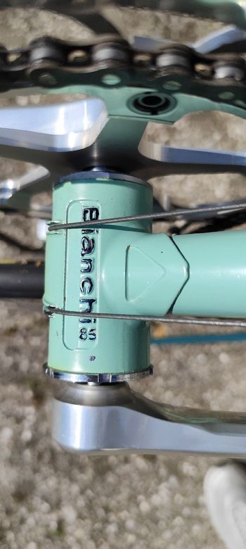 Used bianchi specialissima Bianchi specialissima Custom Campagnolo Super Record 1985 Road & Gravel, Green — image 6 of 11