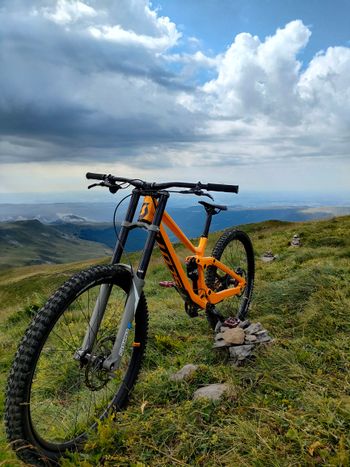 Scott, Gambler Shimano ZEE