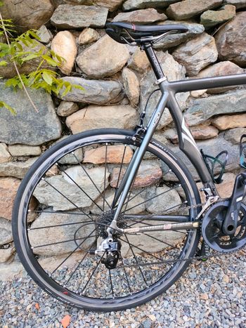 Used Trek Madone Other 2006 Road & Gravel, Hellgrau — image 14 of 14
