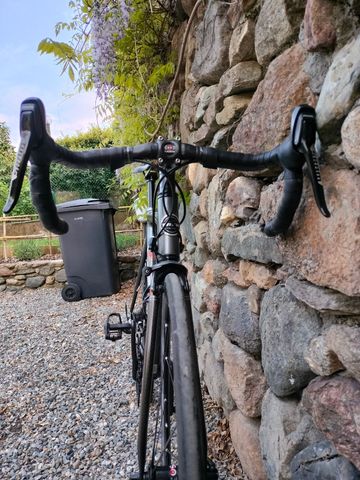 Used Trek Madone Other 2006 Road & Gravel, Light Gray — image 10 of 14