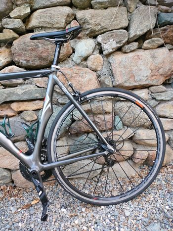 Used Trek Madone Other 2006 Road & Gravel, Hellgrau — image 8 of 14