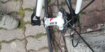 Used Bianchi Super Leggera 928 2010 Road & Gravel — image 6 of 6