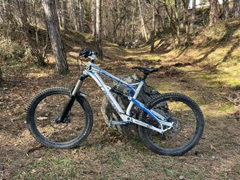 Used Lapierre 516 2011 2011 Mountainbike, Weiß — image 16 of 16