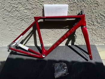 Allied, ECHO Frameset 2023 Frameset