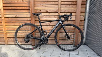 Cervélo, Caledonia Rival AXS 2024