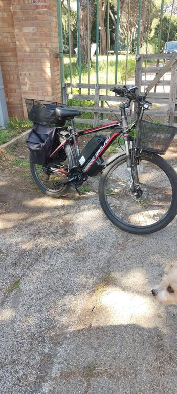Used smlro Smlro Custom Shimano Tourney 2022 Mountainbike — image 2 of 8