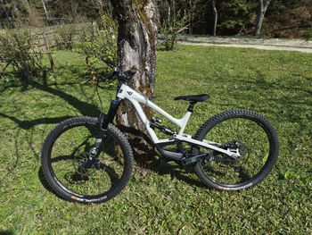 YT Industries, CAPRA Shred 29 2020