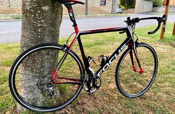 Used Focus Cayo bike — image 1 of 8