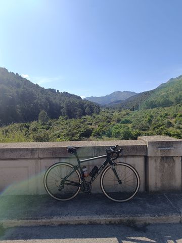 Brugt Coluer 2023 Road & Gravel — billede 2 af 3