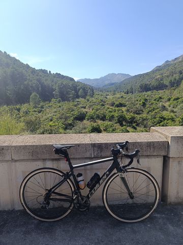 Coluer 2023 Road & Gravel usato
