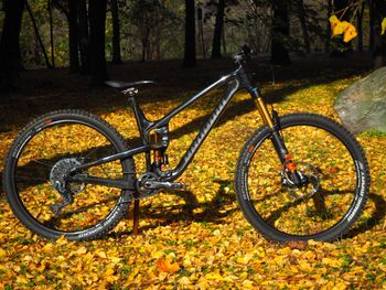 Used Propain Tyee CF High End 2020 2020 MTB
