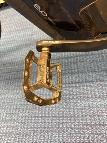 Used Pegasus Premium Evo 7 Lite ELO 2024 Urban, Blue — image 6 of 15