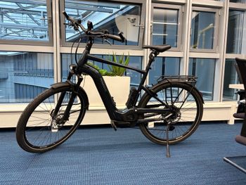 Used Pegasus Premium Evo 7 Lite ELO 2024 Urban, Blue — image 1 of 15