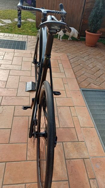 Used Trek Émonda SLR 7 2023 2023 Road & Gravel, Schwarz — image 2 of 6