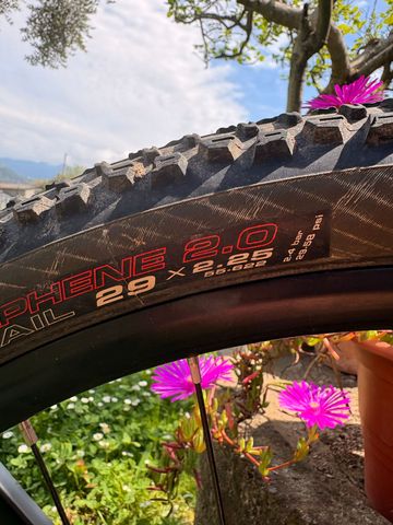Used Trek Procaliber 9.6 2019 2019 Mountainbike, Black, 27.5, 29 — image 4 of 9