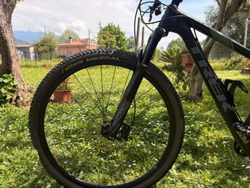 Used Trek Procaliber 9.6 2019 2019 Mountainbike, Black, 27.5, 29 — image 2 of 9