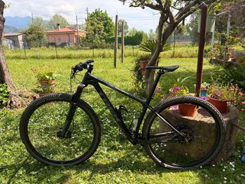 Trek, Procaliber 9.6 2019