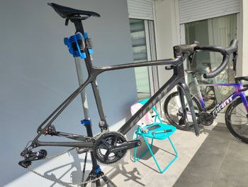Used Giant TCR Advanced SL Disc 0 2024 Frameset 2024 Road & Gravel