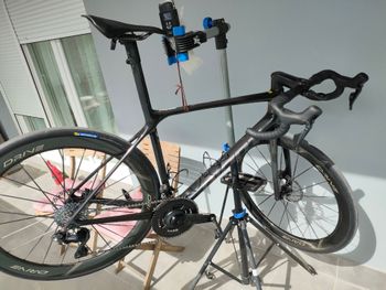 Used Giant TCR Advanced SL Disc 0 2024 Frameset 2024 Road & Gravel, Black — image 9 of 15