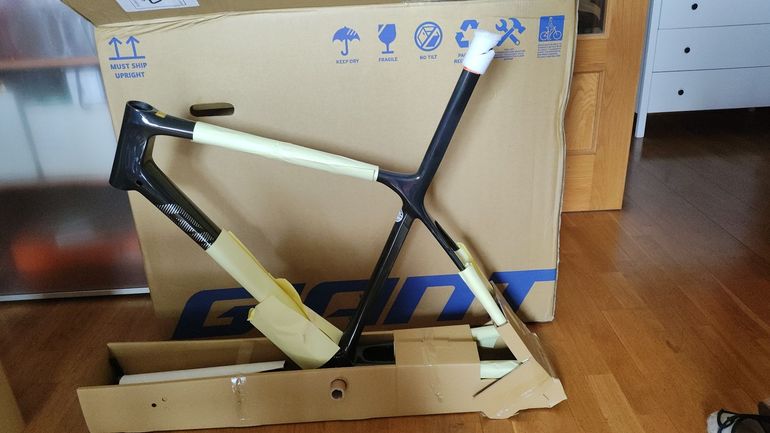 Used Giant TCR Advanced SL Disc 0 2024 Frameset 2024 Road & Gravel, Black — image 14 of 15