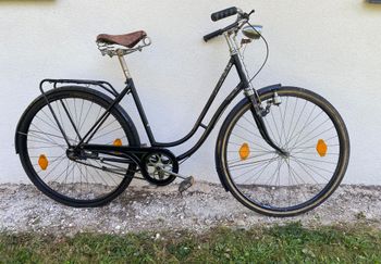 Vintage, Waffenrad Steyr