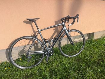 Merida, SCULTURA 6000 2021