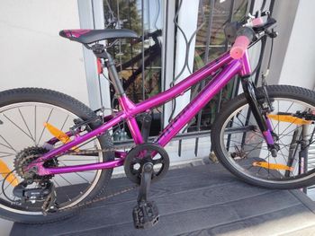 Bergamont, Revox 24 Girl 2021