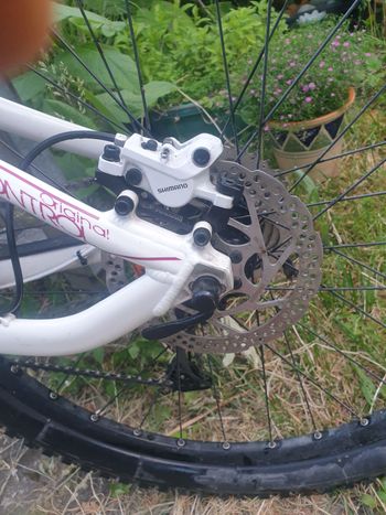 Used Lapierre X-Control LAPIERRE X-Control 310 Lady  2012 Alloy SuperLite 2012 Mountainbike — image 7 of 8