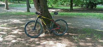 Used Wilier 101x Shimano Deore XT 2020 Mountainbike, Black, 29 — image 2 of 5