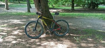 Gebrauchtes Wilier 101x Shimano Deore XT 2020 Mountainbike, Schwarz, 29 — Bild 3 von 5