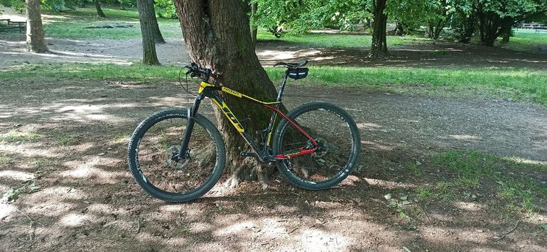 Used Wilier 101x Shimano Deore XT 2020 Mountainbike, Black, 29 — image 3 of 5