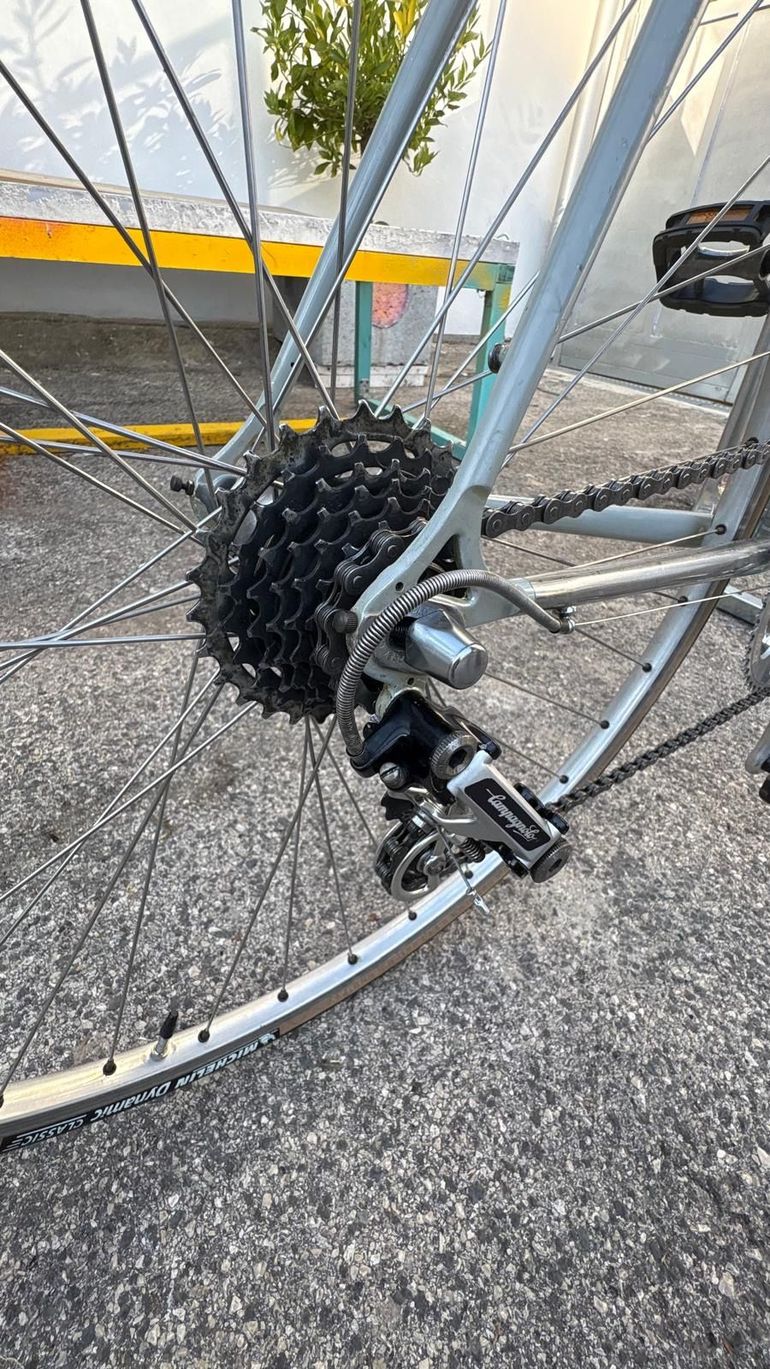 Used Atala Campione Del Mondo 1970 Road & Gravel, Light Gray — image 15 of 15