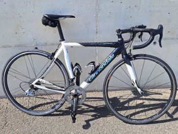 Cannondale, Synapse Campagnolo Record